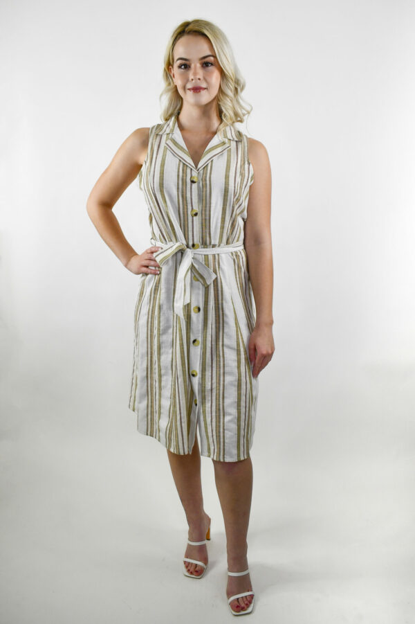 Stripe Mlle Gabrielle Dress